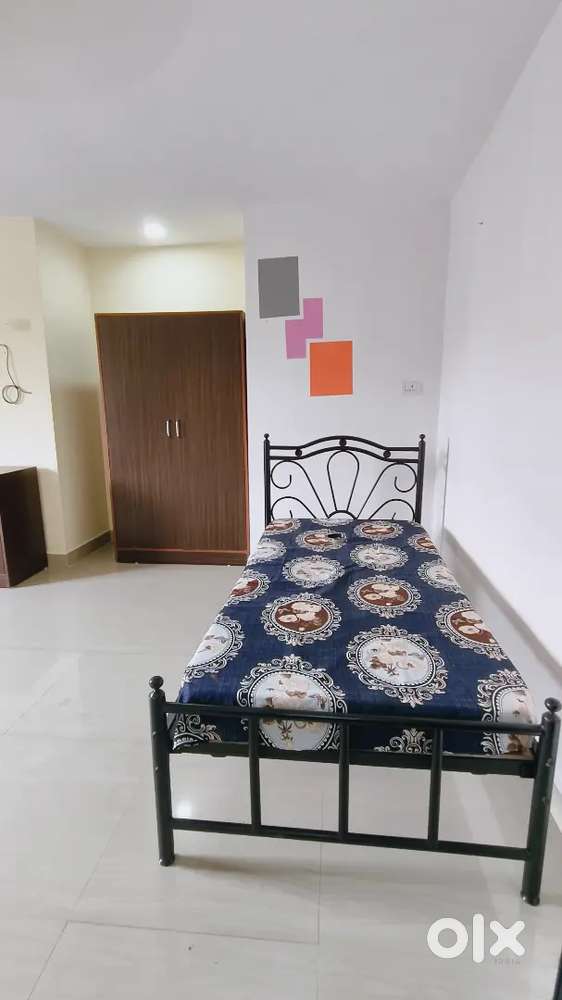 Newly Home roommate needed Any one male/female