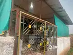 Kunjjarwadi matobad alandi
