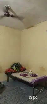 Need a male (student) room partner
