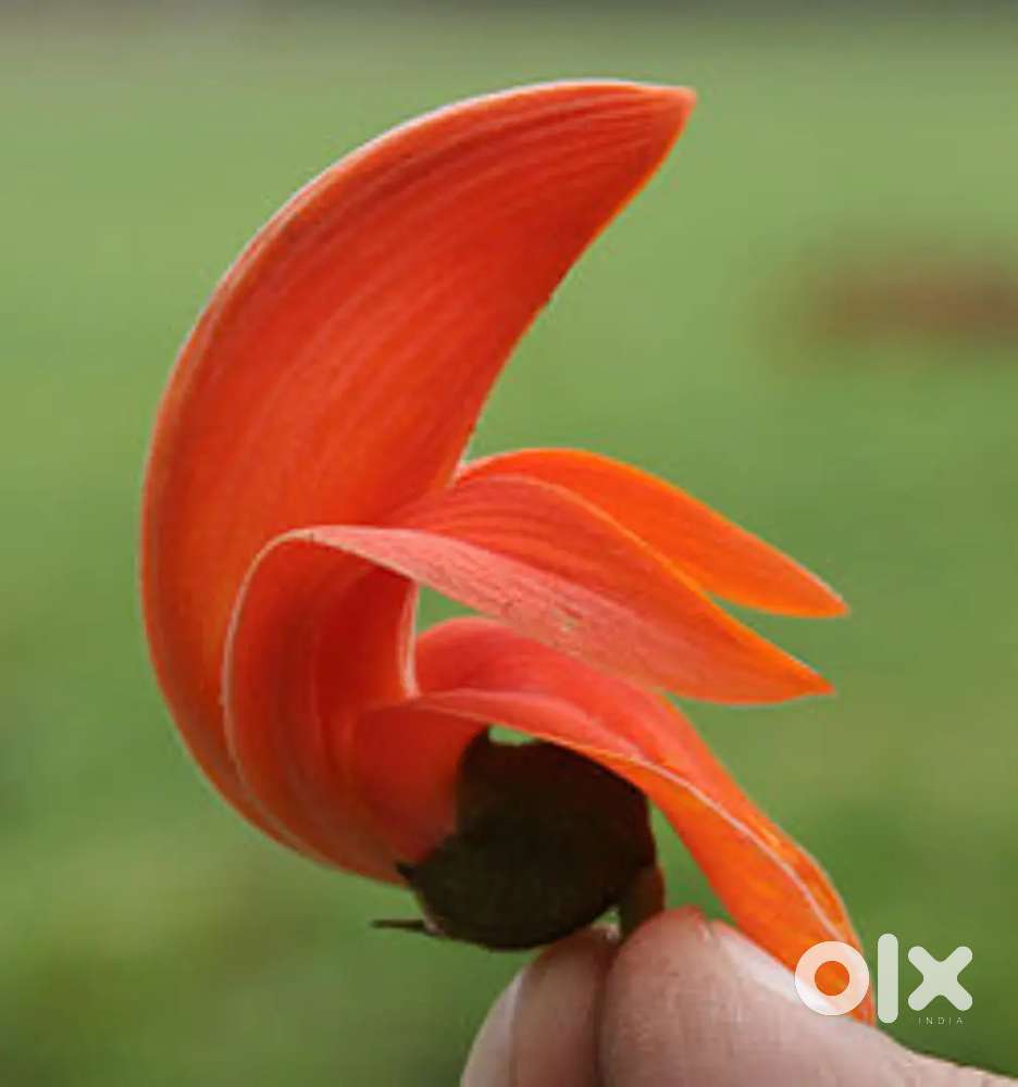 only for female nursing employee..