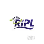 Regensburg International Pvt. Ltd.