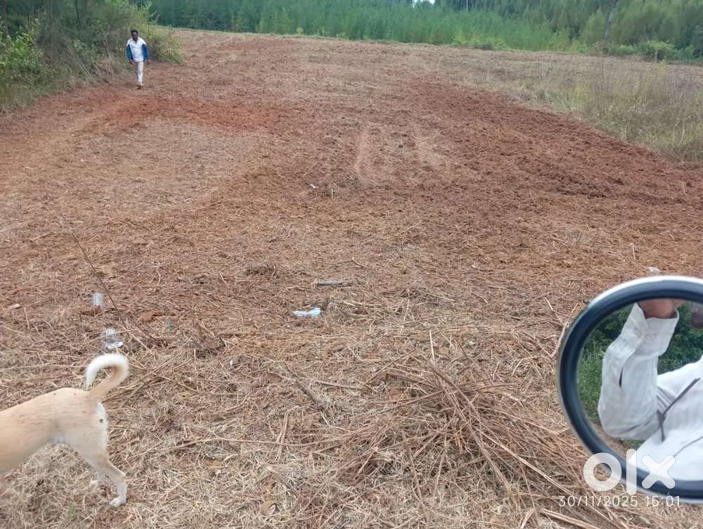 Gurandarapalem road left