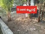 Thripunithura kuriakad 5 cent plot for sale