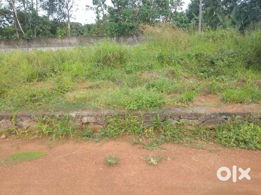 6 cent plot for sale near infopark,kakanad,Ernakulam