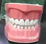 Dental clinic Assistant