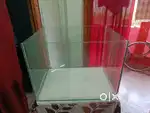 2ft Clear glass fish aquarium - 6mm thick, exellent condition