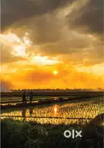 Berigai Near Sarjapur 10890Sft Farm Plots Futuristic Feature For Sale