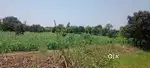 Reasonable rate on property 50 m front on road 2 line Road