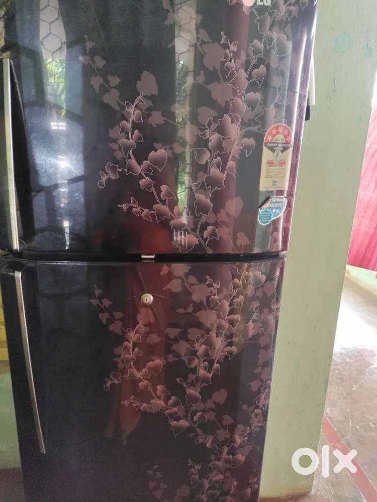 LG 5STAR double door fridge