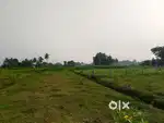 19,00,000/- Near Bramhanapattu,  jest 4 kms Tirupati