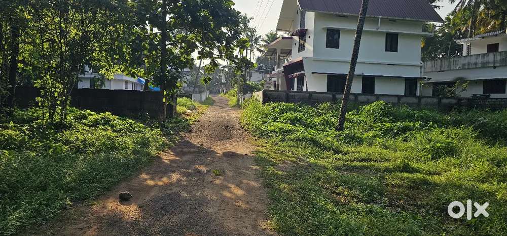 Developing house plots at Mundur. Only 800mtr from highway.