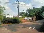 Kakkanad seaprt airport road 50 mtr 10 cent for sale