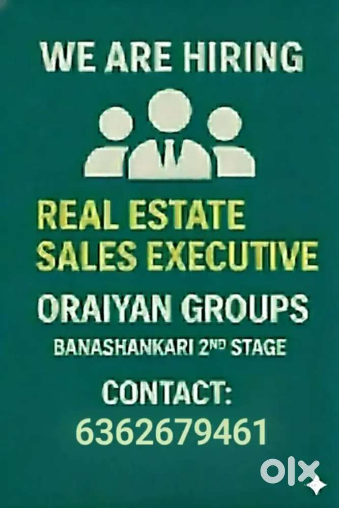 Sales executive and maneger