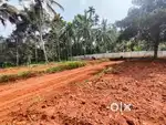 Premium Residential Plots for Sale –Wayanad