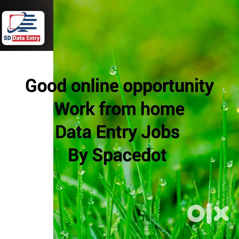 Good online opportunity Data Entry