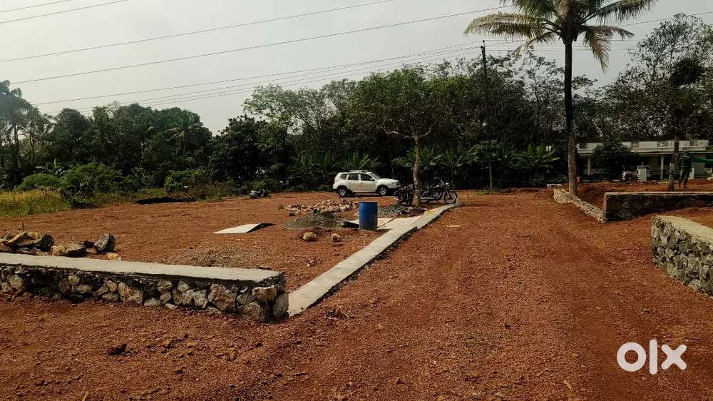 കളത്തൂർ വീടിനു പറ്റിയ പ്ലോട്ട്കൾ