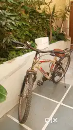Bicycle of tata(Harris)