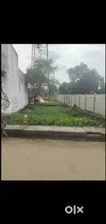 Nutan colony, sharda chowk, Janjgir.