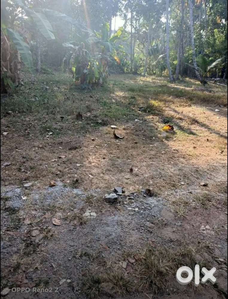 19 Cent Plot for sale in Maruthur Kulangara, Karunagapally