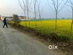 Road Attach land 3 bigha