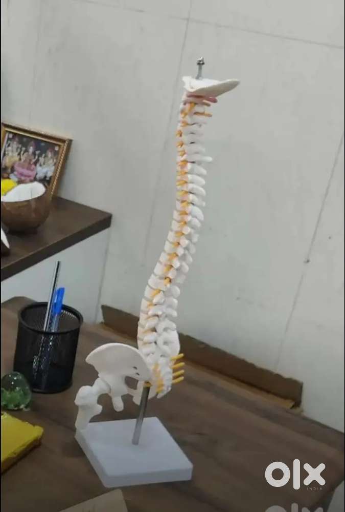 Set up for Physiotherapy clinic