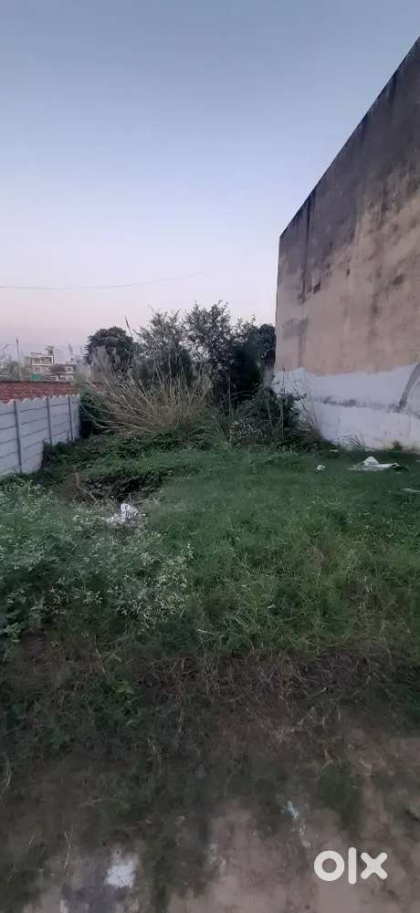 For sale 250 gaj plot walking 200 foot road sector 123 mohali