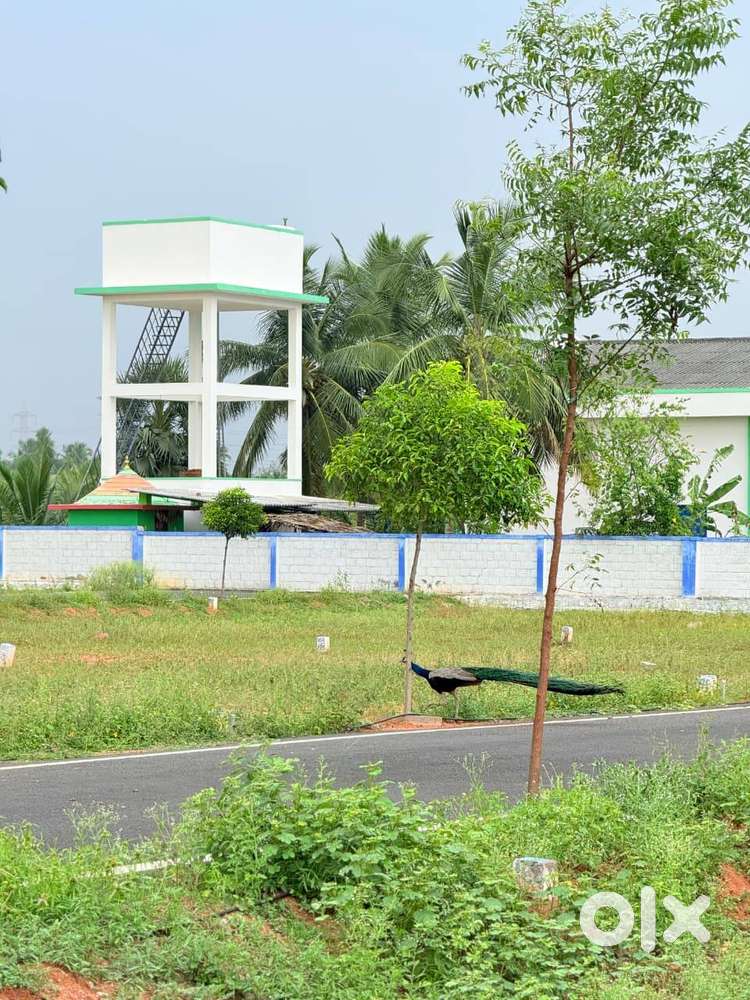 DON'T WAIT, INVEST IN YOUR LAND : PLOTS ARE AVAILABLE NOW