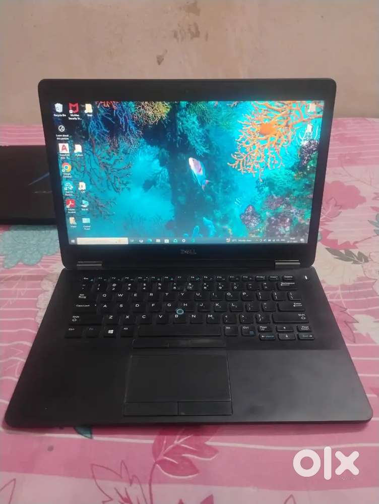 Dell latitude