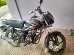Discover 100cc