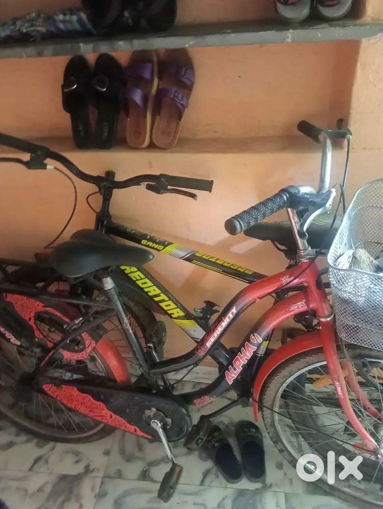 1 Boy cycle/1 Girl cycle