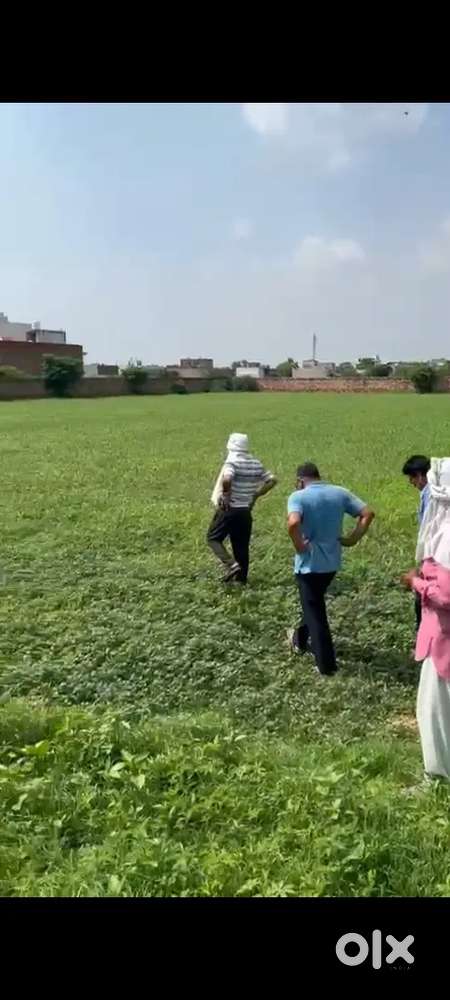 Selling 3 plots near Murwara road bharatpur