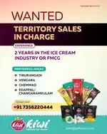 Territory sales executive
