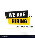 Senior Business Development Executieve