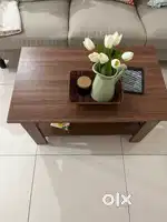 Brown Coffee table