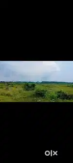 3.5 acre land for sale near bonai, sundergarh