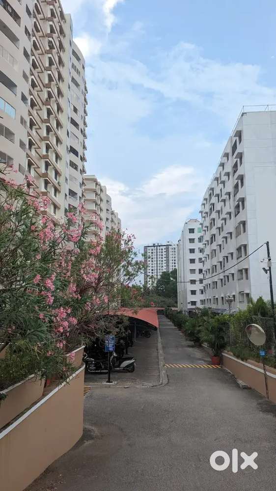 Well maintained 2bhk Seaview Flat  Fully furnished