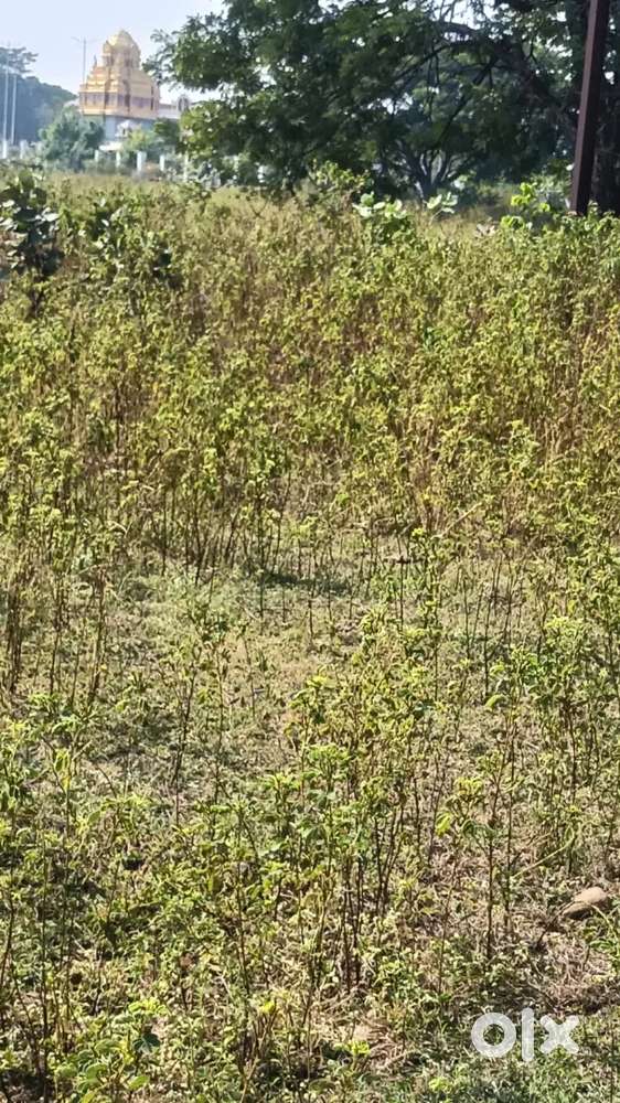 1700 sq.ft Corner Plot for Sale in Yavatmal Dream Land City