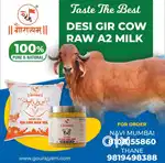 Milk Delivery Job Ulwe