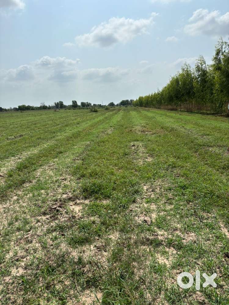 Agricutural land for sale