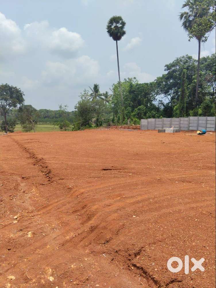 പാലക്കാട് കല്ലുട്ടിയലിൽ പ്ലോട്ട് വില്പനയ്ക്