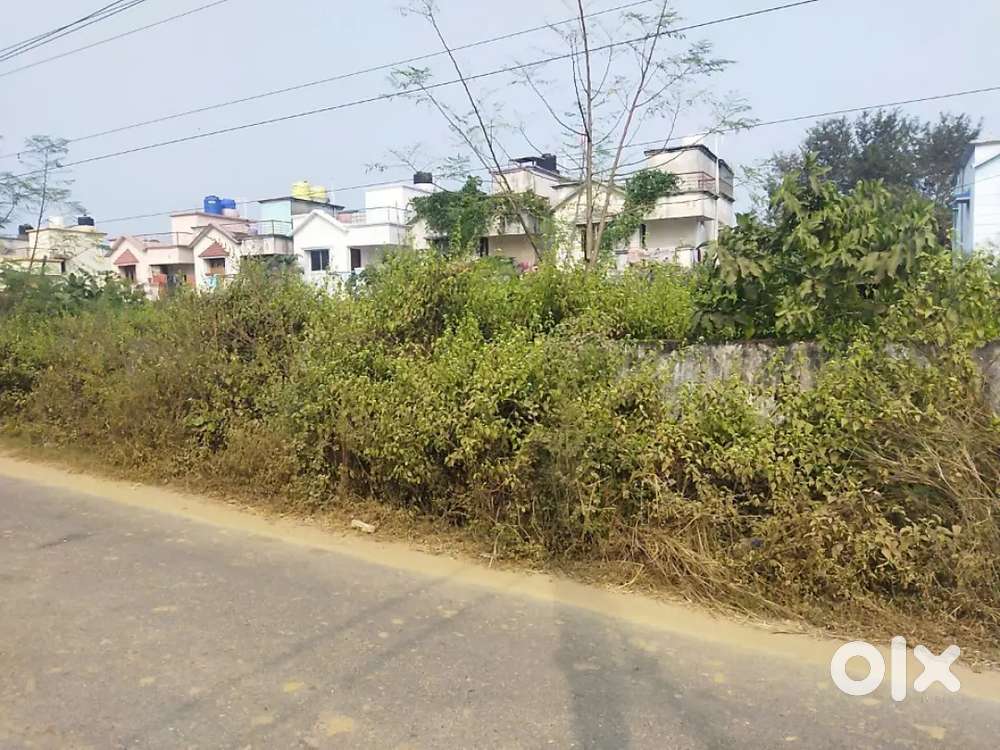 20 Decimal Plot Near Gandhajore Araya vihar