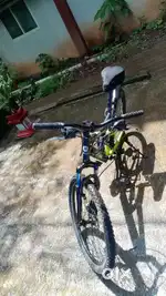 Gear cycle