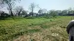 Chtamli pind near marinda road. 6 biswa plot hai ...