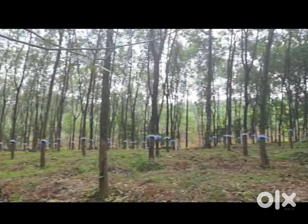 Kothamangalam Bhoothathankettu  17 acre for sale