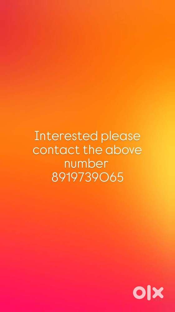 zepto  picking and packing