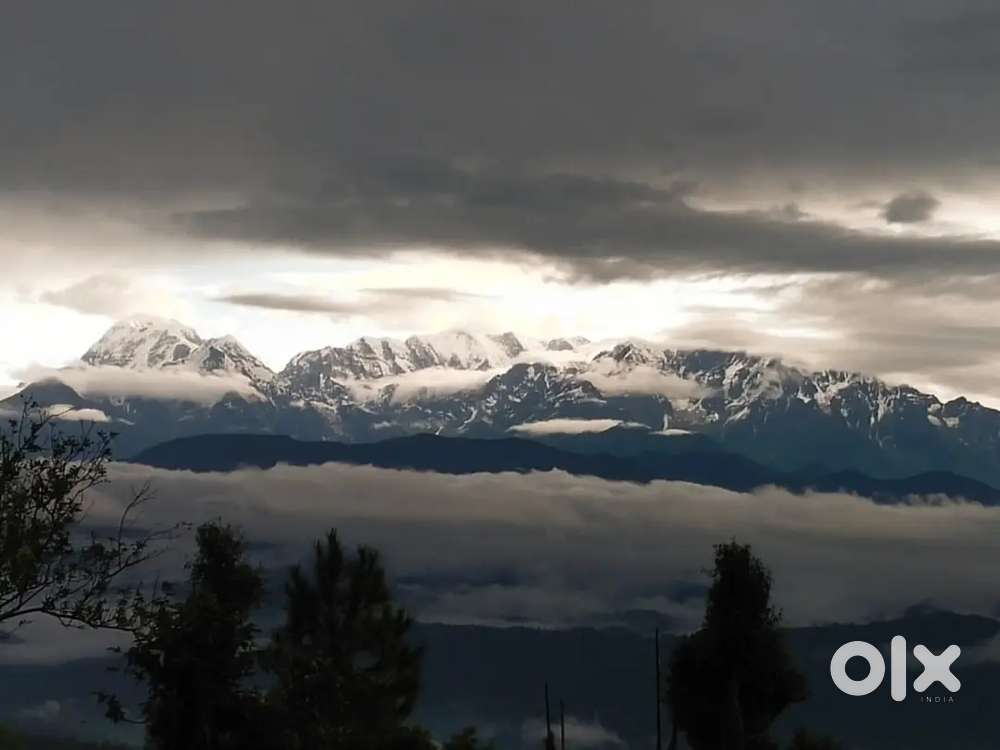 Himalayan view