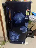 Fridge single door