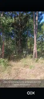 Mawtawar mawdngon