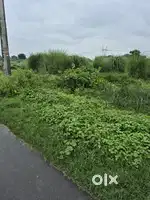 Commercial Plot On Damal Road.