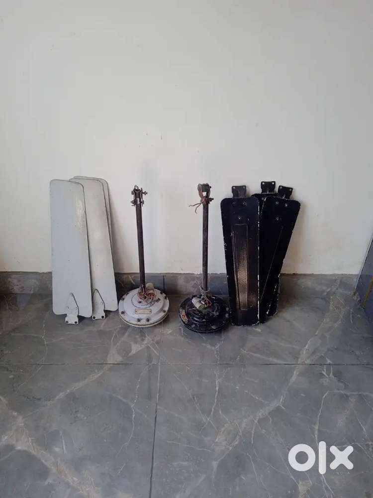 Usha cilingfen. 2